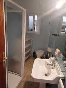 La salle de bains est pourvue d'un lavabo, d'une douche et de toilettes. dans l'établissement Apartamento Grande Subida San Diego Centro Ciudad, à Carthagène