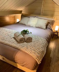 a bedroom with a bed with two towels and a plant at Luxury Garden Lodge With Free Parking in Chestfield