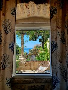 Príroda v okolí apartmánu + 35 fotografií