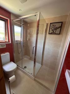 a bathroom with a shower and a toilet at Kinnaird Woodland Lodges in Pitlochry