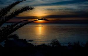 a sunset over the ocean with a palm tree at Villa Sunset Loft in Vir
