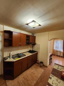 a kitchen with a sink and wooden cabinets at King in Tsaghkadzor
