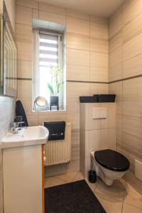 een badkamer met een wastafel, een toilet en een raam bij Domek Gościnny Czempion in Strzałkowo