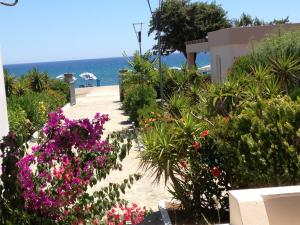 a garden with flowers and the ocean in the background at Amaryllis Beach House in Lartos
