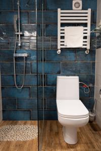 扎科帕內的住宿－APLIT GUEST HOUSE，一间带卫生间和淋浴的浴室