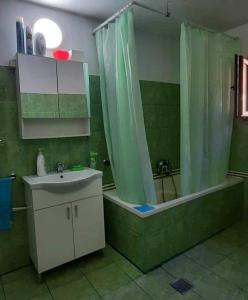 アルバクにあるCazare Albacの緑豊かなバスルーム(シンク、シャワー付)