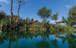 una casa sentada a orillas de un río en 1 Bedroom Awesome Home In Mali Vrh Kamanjski, 