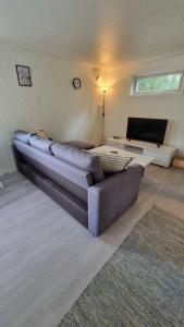 uma sala de estar com um sofá e uma televisão em Stengelsen husky em Alta