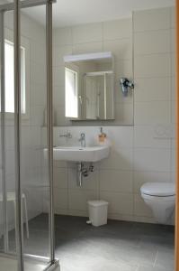 a bathroom with a sink and a toilet and a mirror at Ferienhaus Stockli in Brunnen