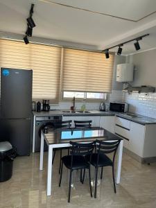 Η κουζίνα ή μικρή κουζίνα στο Luxury Rooftop Wifi, Ac, Outdoor Barbecue