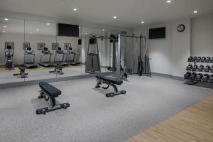 Fitness centrum a/nebo fitness zařízení v ubytování Doubletree By Hilton New York Times Square West