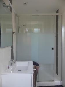 a bathroom with a sink and a glass shower at Les gîtes de Camarel in La Plaine