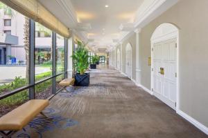 a corridor of a building with a hallway with windows at Hilton Ocala in Ocala