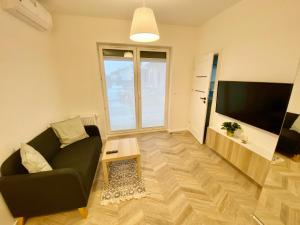 Televízia a/alebo spoločenská miestnosť v ubytovaní Apartamenty Centrum Poznańska - Biały