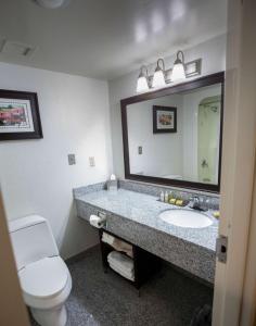 Bilik mandi di Doubletree by Hilton, Leominster