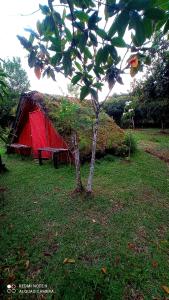 a small tree in front of a red barn at mirador el paraíso in San José de Suaita