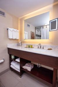 bagno con lavandino e grande specchio di DoubleTree by Hilton Neenah a Neenah