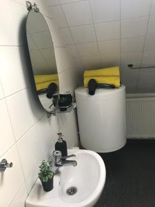 La salle de bains est pourvue d'un lavabo, d'un miroir et de toilettes. dans l'établissement Lovas Udvarház Ezüst Zabla Apartman Piliscsaba, à Piliscsaba