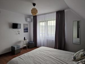 a bedroom with a large bed and a window at Pensiunea Vlad 