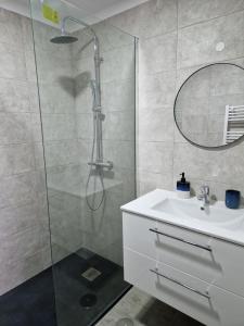 La salle de bains est pourvue d'une douche et d'un lavabo. dans l'établissement Pensiunea Vlad, 