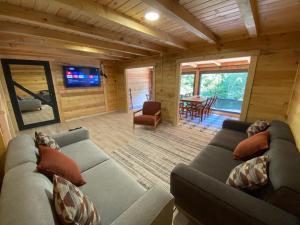 a living room with a couch and a television in a cabin at Ayder Villa Gencal King in Ayder Yaylasi