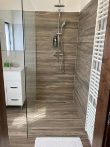 a shower with a glass door in a bathroom at PENSIUNEA KONFORT in Borsa