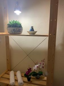 a shelf with towels and plants on it at The Lake House -Trichonida Lake in Marathiás