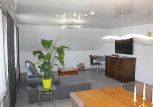 ein Wohnzimmer mit einem Sofa und einem TV in der Unterkunft Ferienwohnungen am Playmobilpark in Oberasbach