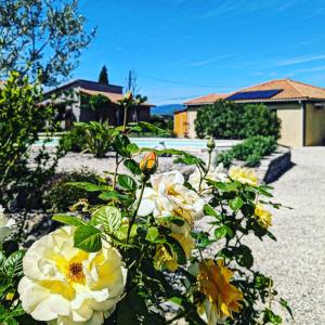 een groep gele en witte bloemen in een tuin bij Villa Font Vive - Chambres d'hôtes éco-labellisées avec cuisine - Top confort, calme absolu et vue exceptionnelle ! in Grospierres