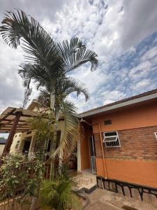 a palm tree in front of a house at Deer Hotel in Kigali