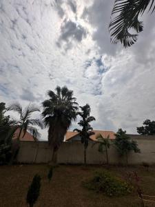 a fence with palm trees and a cloudy sky at Deer Hotel in Kigali