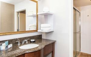 Koupelna v ubytování Hampton Inn & Suites Rochester/Victor