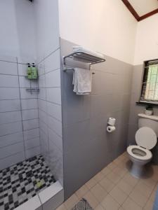 a bathroom with a toilet and a shower stall at Oceanscape in Bettyʼs Bay