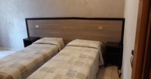 Postel nebo postele na pokoji v ubytování Hotel Salus