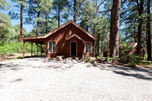 a small cabin in the middle of a forest at 151 CR 200 1 Bedroom Cabin in Durango