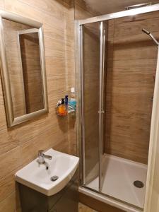 een badkamer met een wastafel en een douche bij Curly Curves in North Woolwich