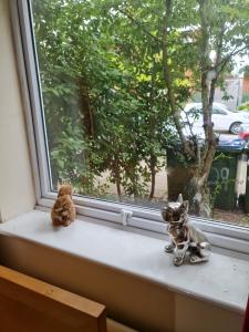 a stuffed dog and a teddy bear sitting on a window sill at Curly Curves in North Woolwich