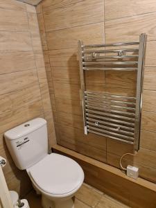 a bathroom with a white toilet and a wooden wall at Curly Curves in North Woolwich