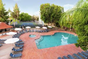 an overhead view of a swimming pool with chairs and umbrellas at Embassy Suites by Hilton Scottsdale Resort in Scottsdale