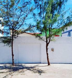duas árvores em frente a uma garagem branca em Icaraí Budget em Caucaia