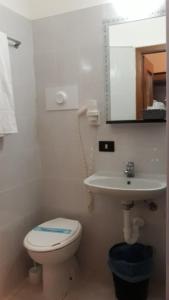 Koupelna v ubytování Hotel Salus