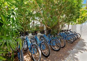 uma fila de bicicletas azuis estacionadas ao lado de uma cerca em The Grand Guesthouse em Key West