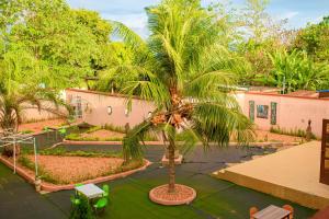 an aerial view of a palm tree in a courtyard at Abomey Events in Abomey