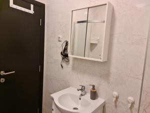 ein Bad mit einem Waschbecken und einem Spiegel in der Unterkunft Iva&Niki Ledine in Belgrad