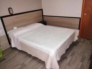 Postel nebo postele na pokoji v ubytování Hotel Salus
