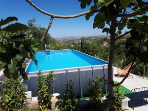 a swimming pool in the backyard of a house at Il Grillo Holiday House in Chiaramonte Gulfi