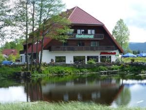 a building with a river in front of it at Pension Mühlencafé in Breitnau