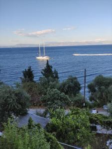 Afbeelding uit fotogalerij van Blue and white apartments 3 in Benitses