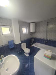 La salle de bains est pourvue de carrelage bleu, de toilettes et d'un lavabo. dans l'établissement Kuća Moric, à Tivat
