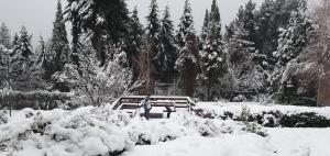 a person sitting on a bench in the snow at Aldea Andina Hotel&Spa in San Carlos de Bariloche